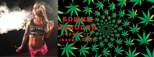 PSILOCYBIN Абаза