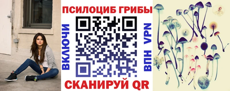 ОМГ ОМГ вход  Киржач  Галлюциногенные грибы ЛСД 