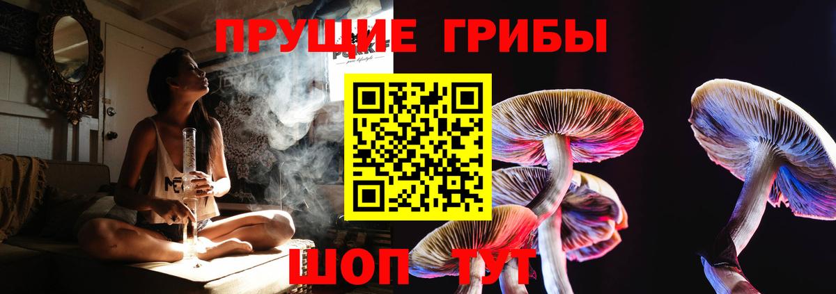 магазин  наркотиков  Галлюциногенные грибы Psilocybe  Вход с VPN  Киржач 