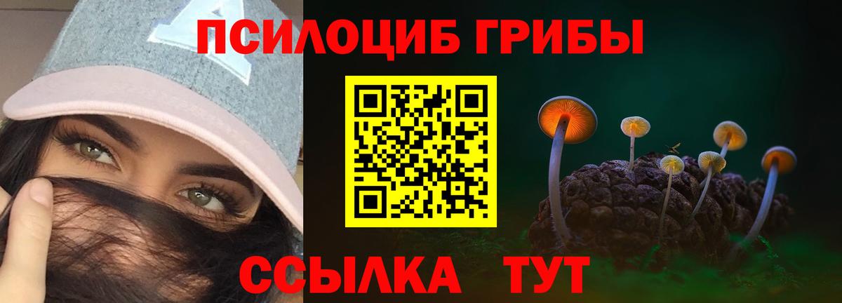 Галлюциногенные грибы Psilocybine cubensis Киржач