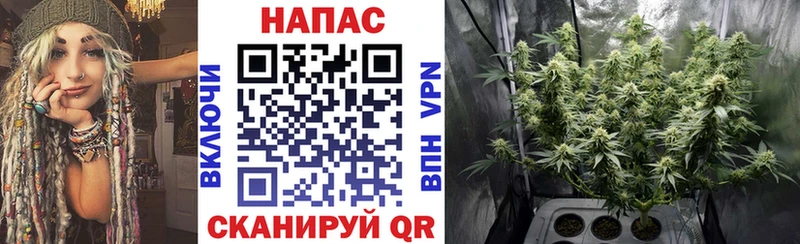 купить  цена  Киржач  omg вход  Конопля Ganja 